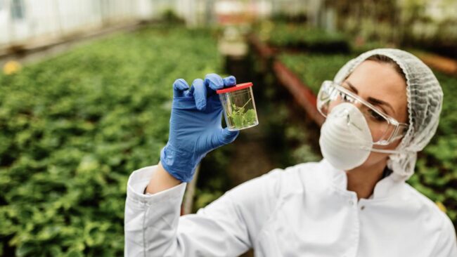 Cómo reducir riesgos regulatorios en le sector agroquímico y fitosanitario con Business Central