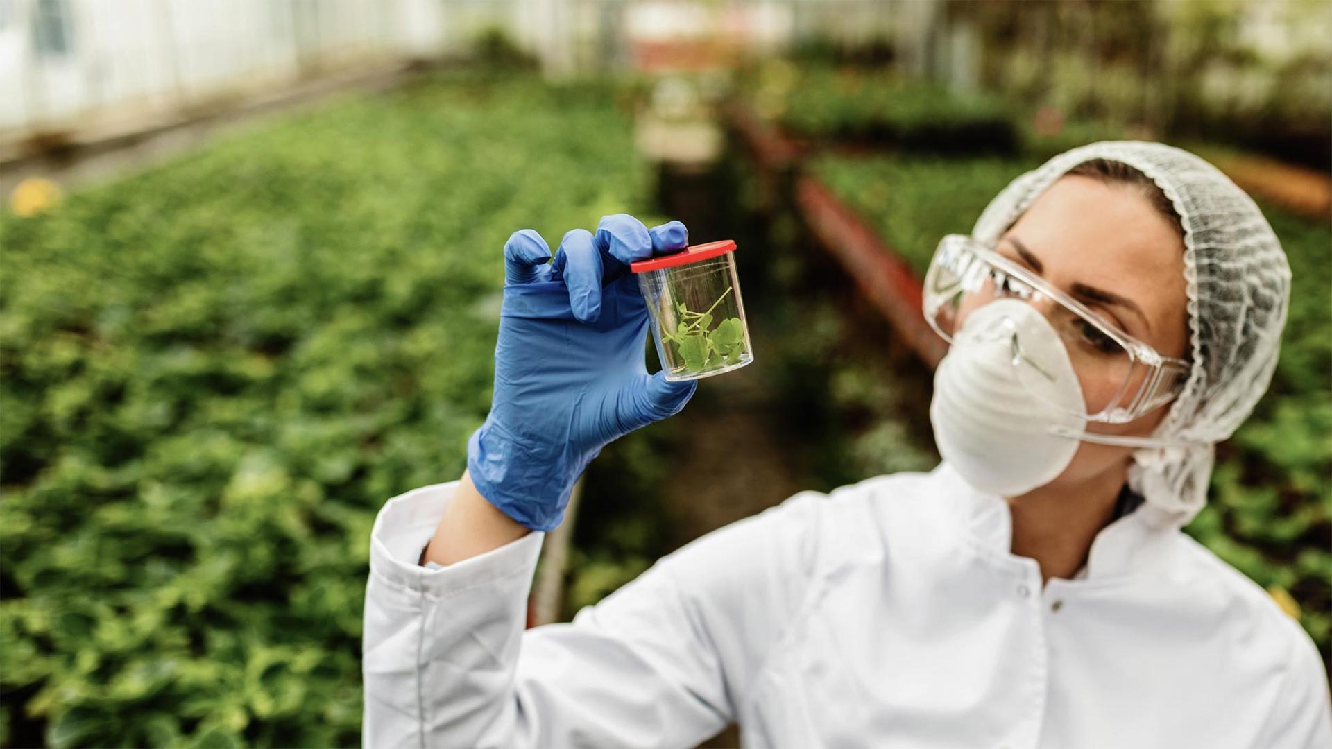 Cómo reducir riesgos regulatorios en le sector agroquímico y fitosanitario con Business Central